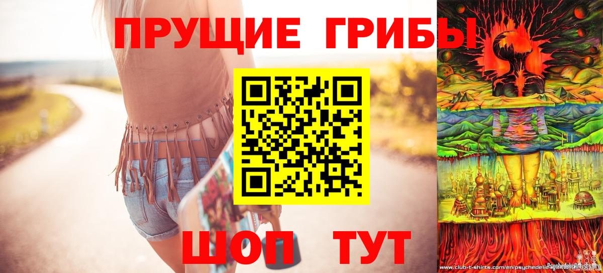Псилоцибиновые грибы Cubensis  Вход с VPN  Оренбург  Псилоцибиновые грибы Magic Shrooms 
