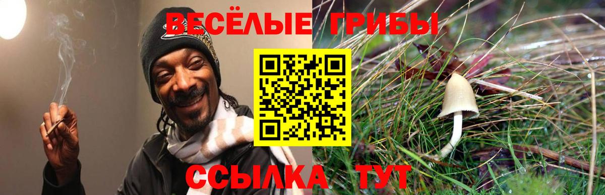 Псилоцибиновые грибы Magic Shrooms Оренбург